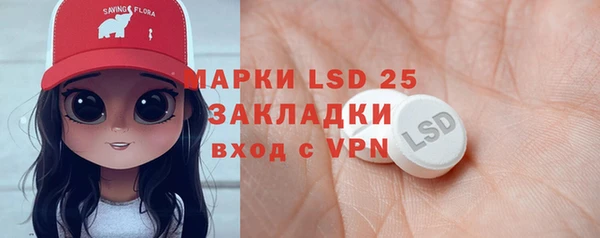 молекула духа Няндома