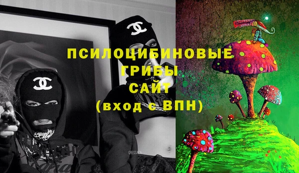 ALPHA PVP Осинники