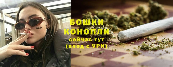 ALPHA PVP Осинники