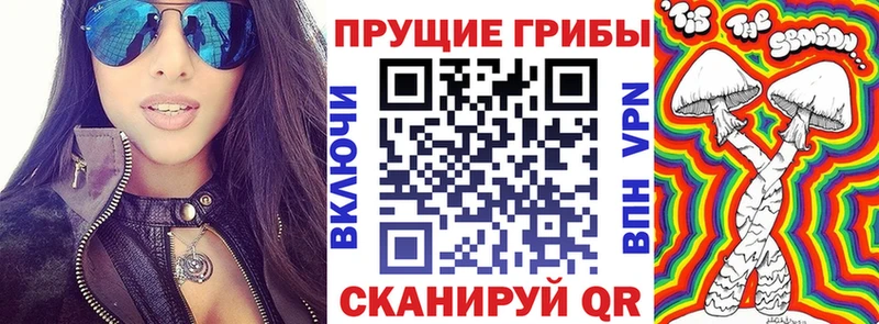 Галлюциногенные грибы Psilocybine cubensis  сайты даркнета состав  Серафимович 